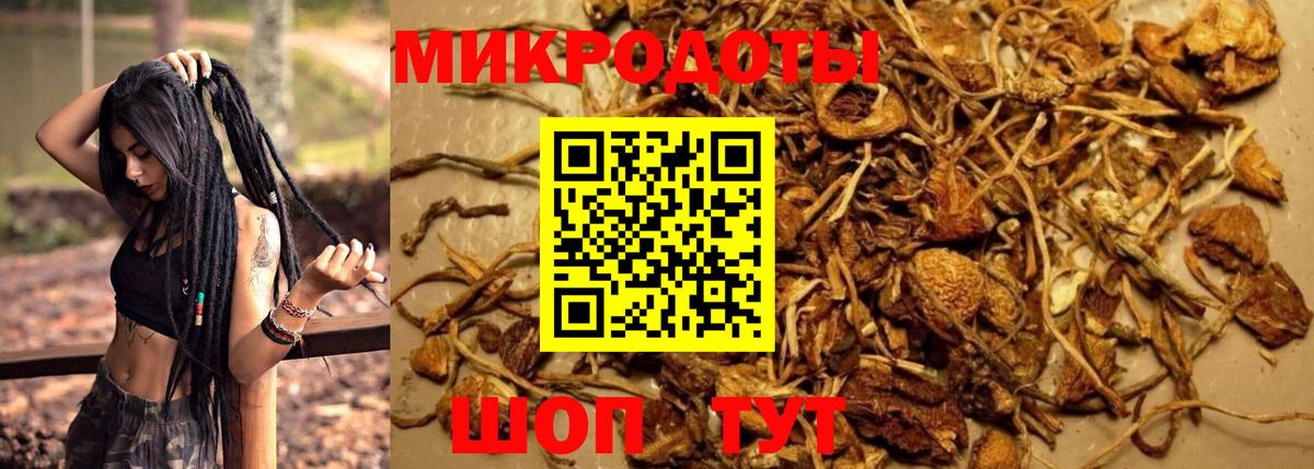купить наркотик  Галлюциногенные грибы Cubensis  Вход с VPN  Нижнеудинск  Галлюциногенные грибы прущие грибы 